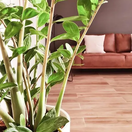 Les De Rozelie Σπίτι διακοπών