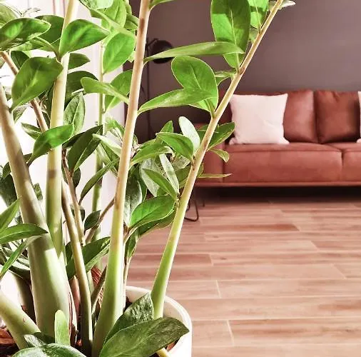 Les De Rozelie בית נופש